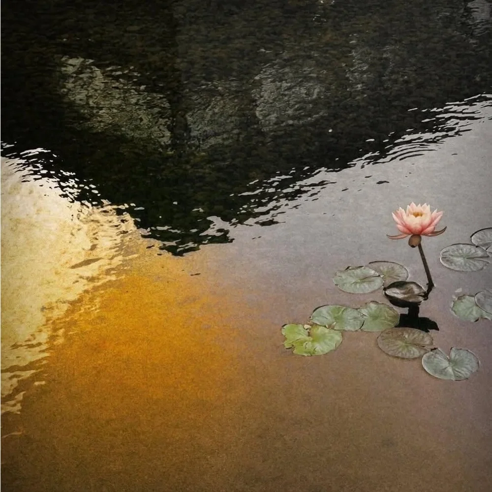 Mood - Picture 4 of 10